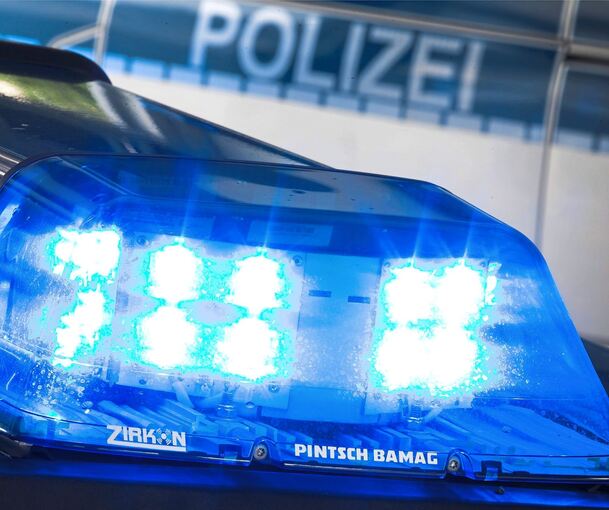 Die Kriminalpolizei Ludwigsburg ermittelt in dem Autodiebstahl.