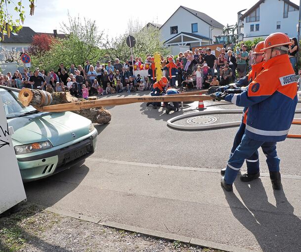 Das Übungsszenario: Ein Baum ist auf ein Auto gestürzt und muss entfernt werden.