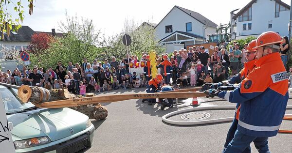 Das Übungsszenario: Ein Baum ist auf ein Auto gestürzt und muss entfernt werden.