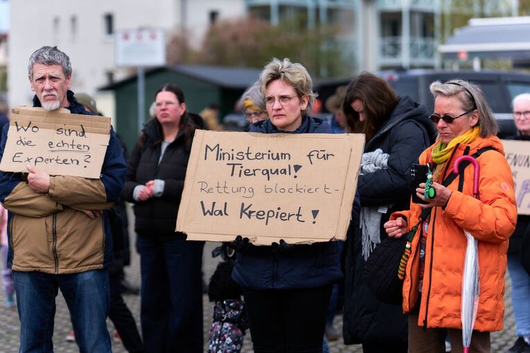 Demo für Rettung des Buckelwals