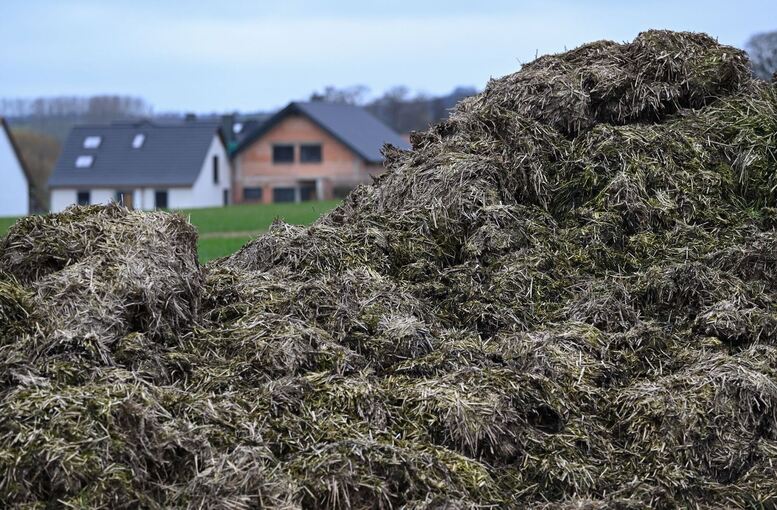 Misthaufen vor Häusern
