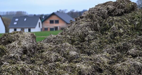 Misthaufen vor Häusern