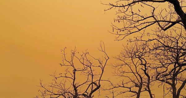 So orange wie in diesem Bild aus Frankreich ist es im Landkreis Ludwigsburg nicht – und das hat einen Grund.