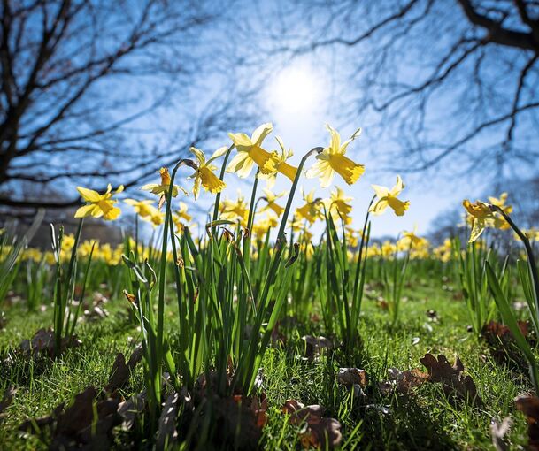 Mehr Grün soll der Bürgergarten am Egelsee in die Stadt bringen, ohne eine „kleine Gartenschau“ zu werden.