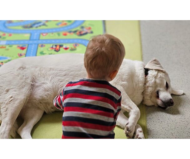 Bonnie hat eine spezielle Ausbildung zur Besuchshündin absolviert.