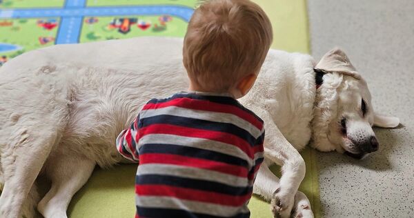 Bonnie hat eine spezielle Ausbildung zur Besuchshündin absolviert.