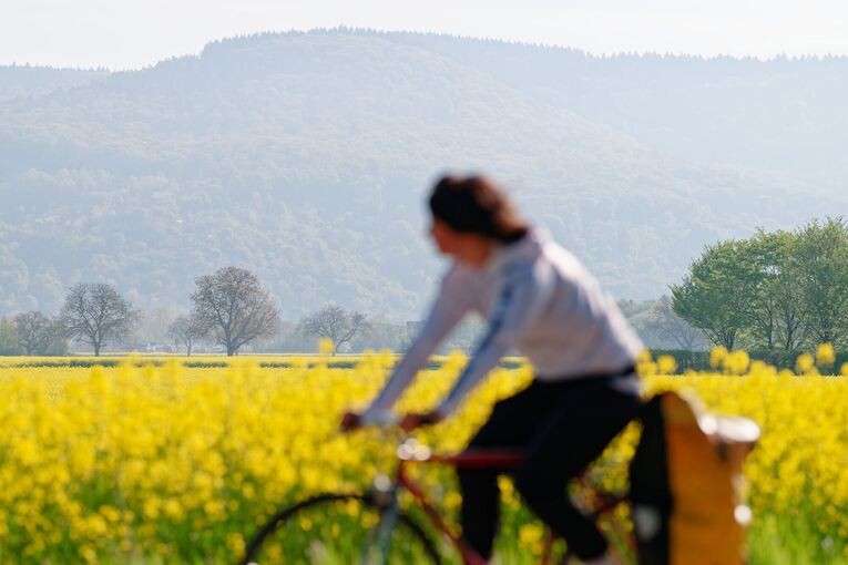 Frühling in Baden-Württemberg