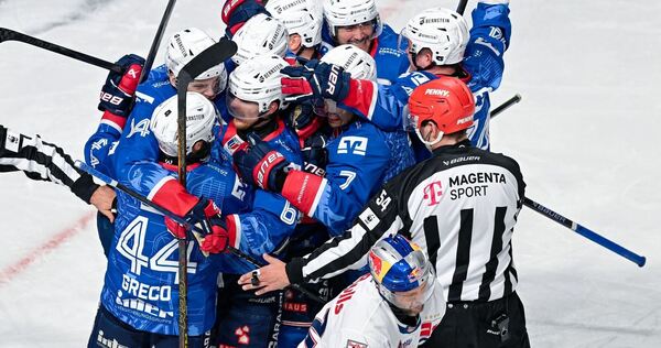 Die Spieler der Adler Mannheim