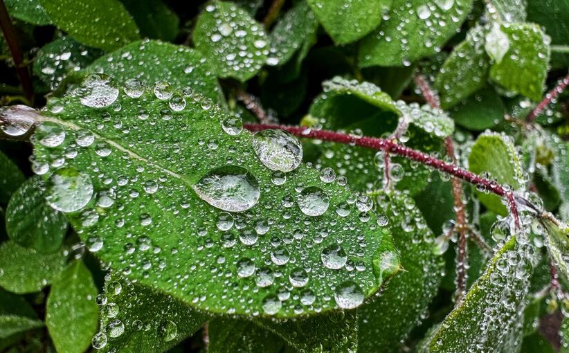 Wetter in Baden-Württemberg