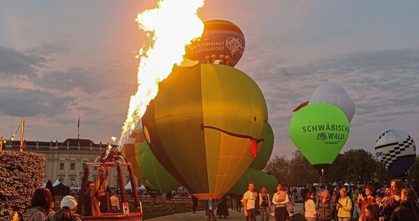 In der Dämmerung wird das Ballonblühen zu einem ganz besonderen Spektakel.