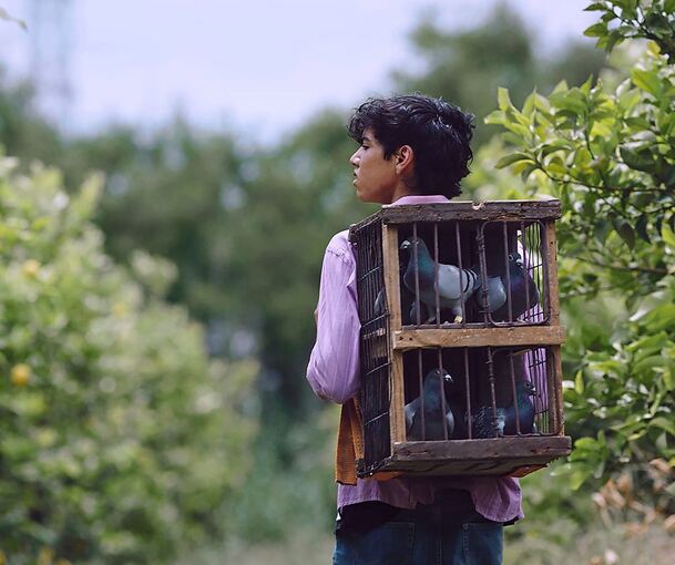 Sechs uruguayische Produktionen finden sich im Programm: „Siempre Vuelven“ von Sergio de León illustriert, dass auch kleine, unscheinbare Tiere wie Tauben von großer Bedeutung sein können.