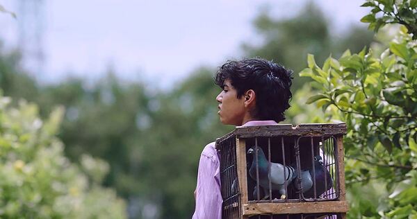 Sechs uruguayische Produktionen finden sich im Programm: „Siempre Vuelven“ von Sergio de León illustriert, dass auch kleine, unscheinbare Tiere wie Tauben von großer Bedeutung sein können.