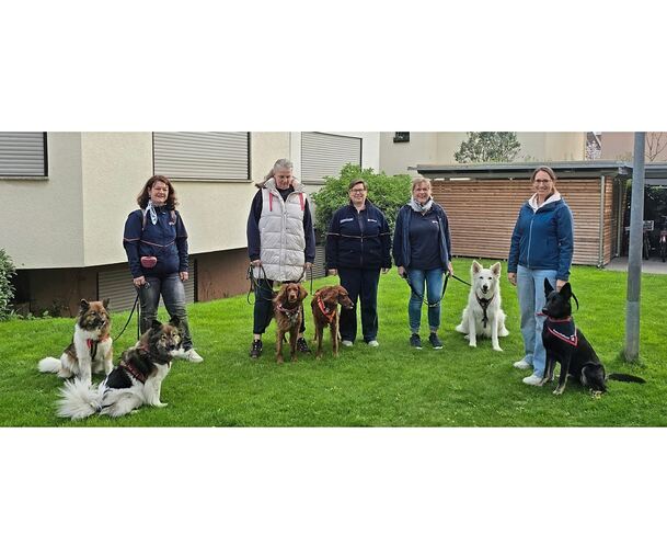 Hunde-Teams aus dem Besuchs- und Begleitdienst.