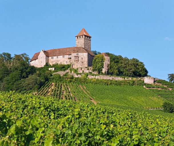 Die Burg Lichtenberg.