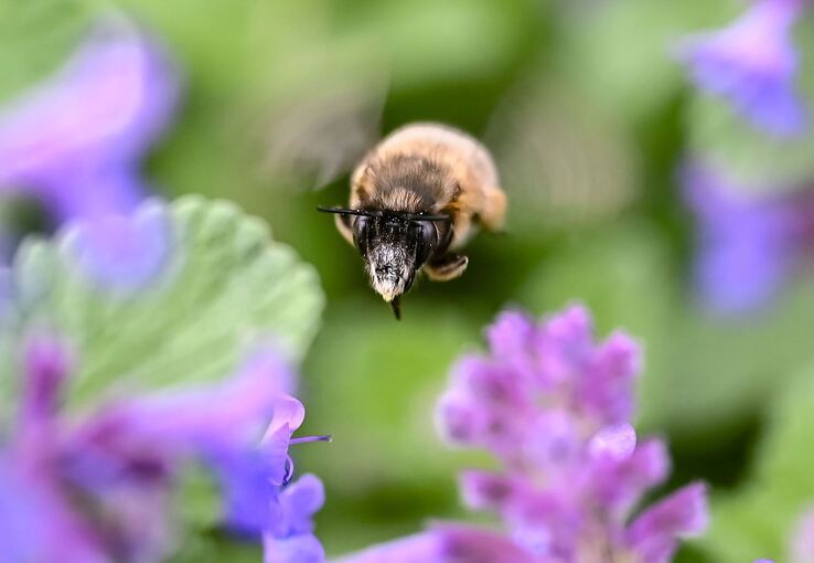 Wetter in Baden-Württemberg