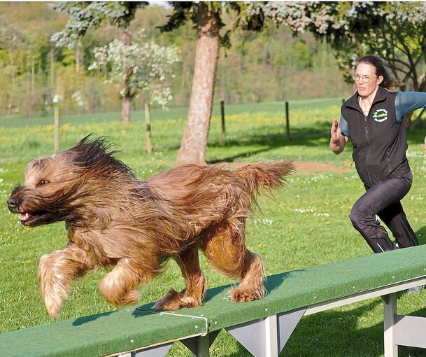„Man muss Spaß an der Bewegung haben“: LKZ-Autorin Luitgard Schaber und ihre Hündin im Parcours.