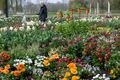 Vorbereitungen Landesgartenschau Ellwangen