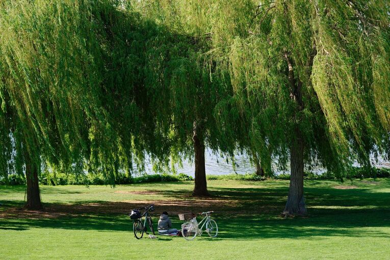 Wetter in Baden-Württemberg