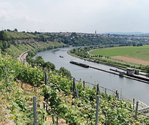 Ein Panoramablick über die Ludwigsburger Steillagen-Weinberge.