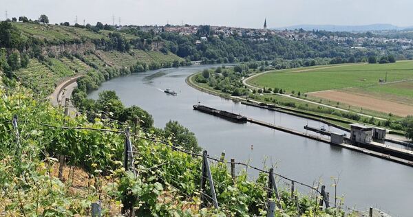 Ein Panoramablick über die Ludwigsburger Steillagen-Weinberge.