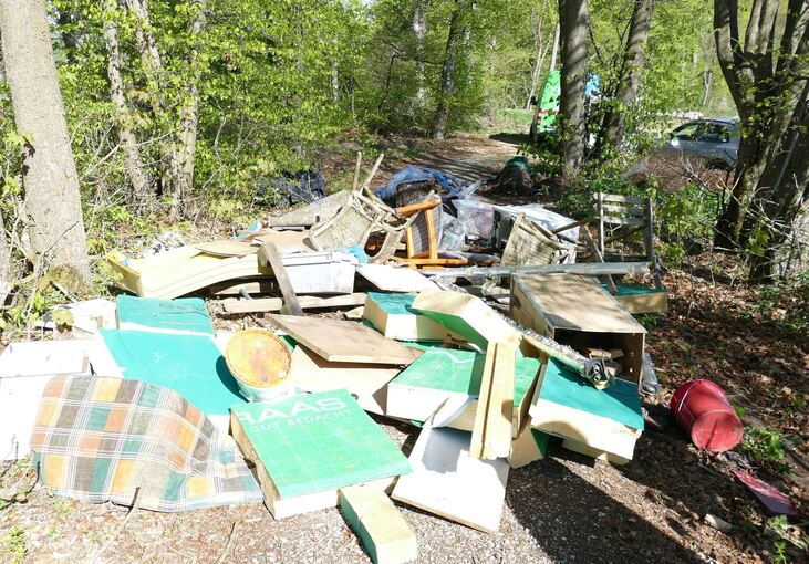Müll im Wald entsorgt
