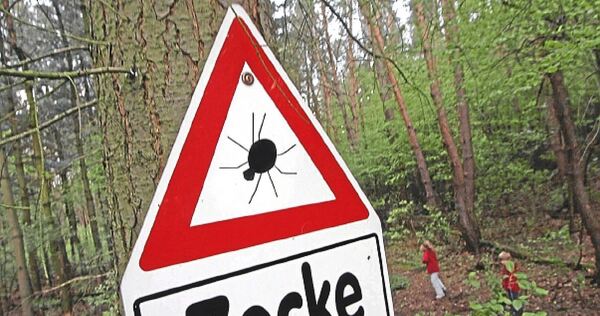 Warnung vor Zecken: Jetzt sollte man besonders aufmerksam sein.