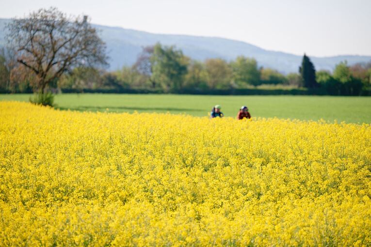 Wetter in Baden-Württemberg