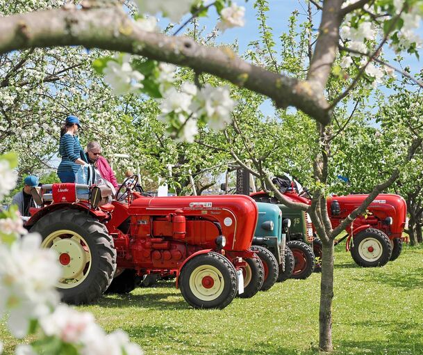 Das schöne Wetter lockte die Eigentümer mit ihren Schätzchen nach Neckarrems.