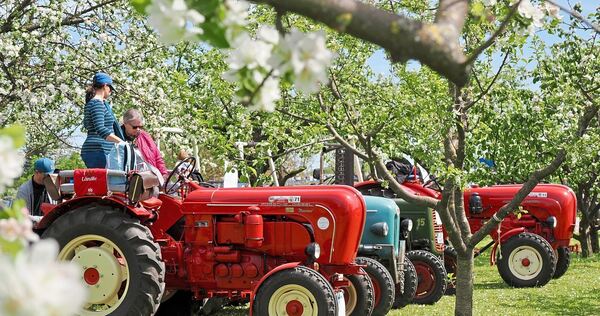 Das schöne Wetter lockte die Eigentümer mit ihren Schätzchen nach Neckarrems.