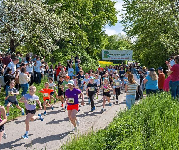Über 300 Läufer sind am Sonntag beim Strombergstraßenlauf dabei.