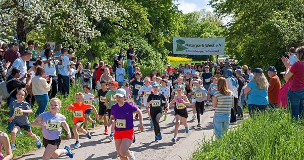 Über 300 Läufer sind am Sonntag beim Strombergstraßenlauf dabei.