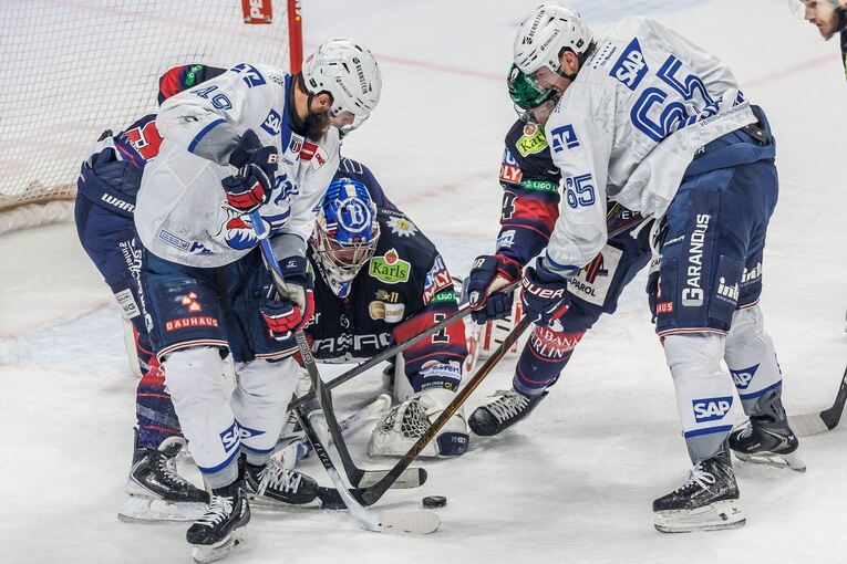 Eisbären Berlin - Adler Mannheim