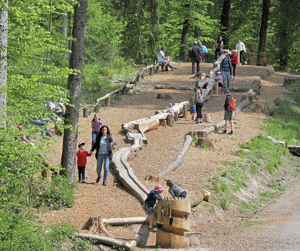 Die Murmelbahn hat eine Länge von 70 Metern. Alle Materialien stammen aus dem Wald.