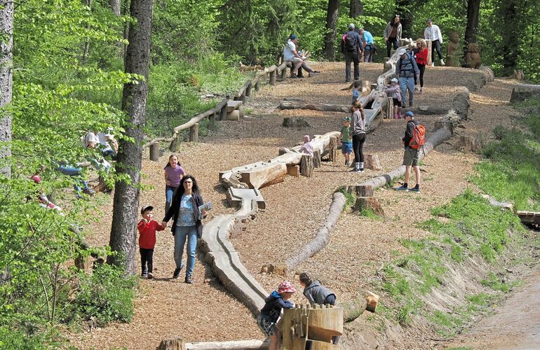 Die Murmelbahn hat eine Länge von 70 Metern. Alle Materialien stammen aus dem Wald.