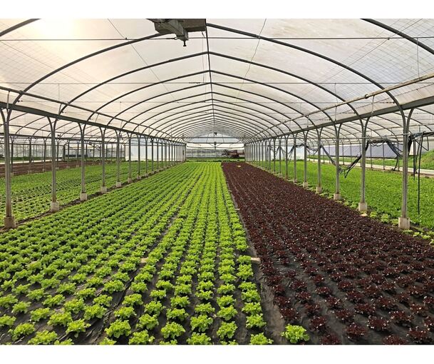 Die Aktion „Gläserne Produktion“ bietet spannende Einblicke in landwirtschaftliche Betriebe. Am 1. Mai geht‘s los.