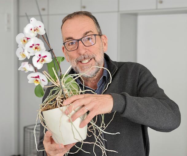 Gartenexperte Volker Kugel kommt an keiner Pflanze vorbei: Fürs Foto zum Interview greift er zur Orchidee auf der Fensterbank des Redaktionsbüros. Sie blüht prächtig.