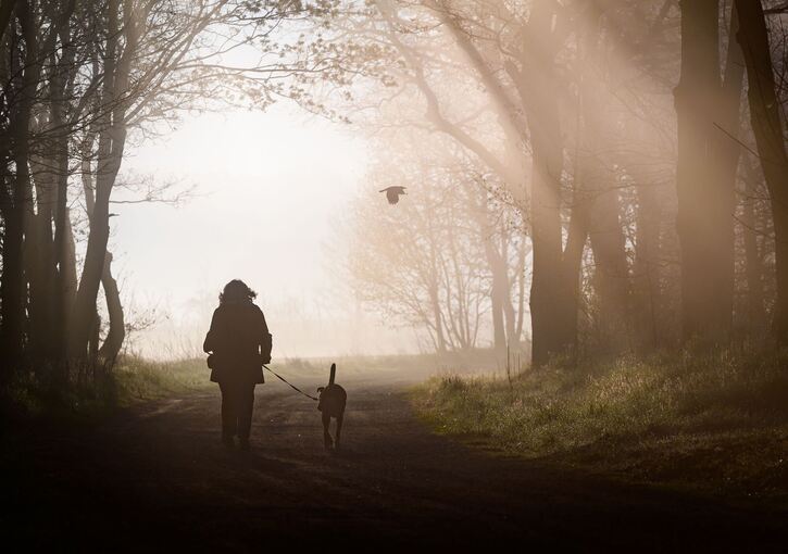 Morgenstimmung in Brandenburg