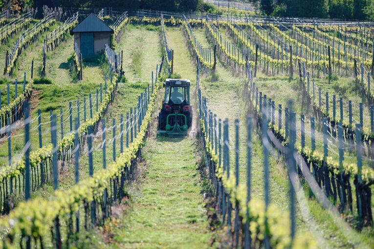 Wetter in Baden-Württemberg