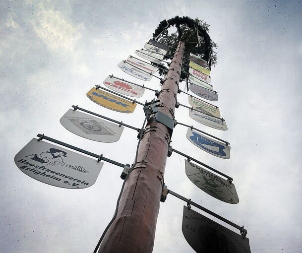 Der Erligheimer Maibaum im Jahr 2021.