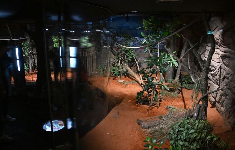 Terra Australis in der Wilhelma