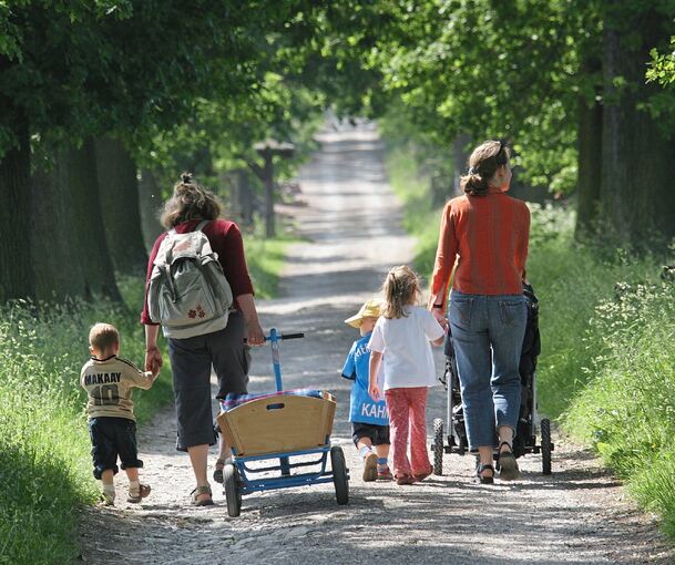 Wandern steht am 1. Mai bei vielen hoch im Kurs. Im Kreis Ludwigsburg gibt es jedoch auch viele Events.