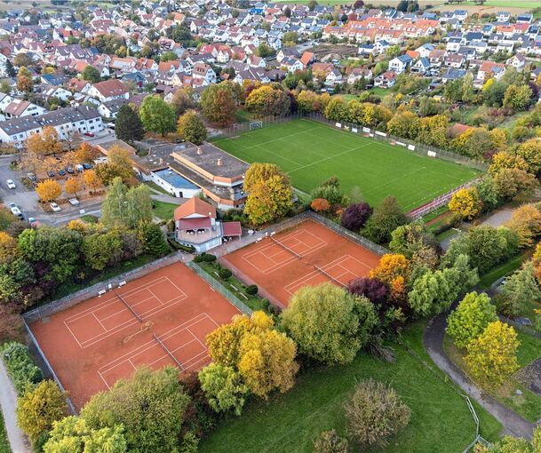 Für den geplanten Kunstrasenplatz in Ottmarsheim gibt es vorerst keine Fördermittel vom Bund