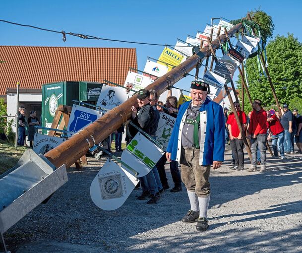 Das Maibaumstellen ist ein gut vorbereitetes Spektakel.