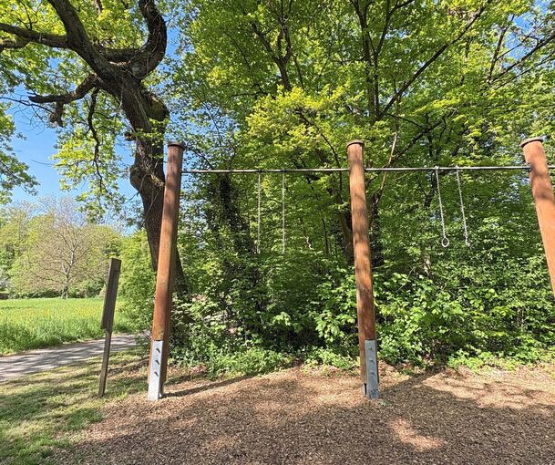 Klimmzüge im Wald bei Besigheim.