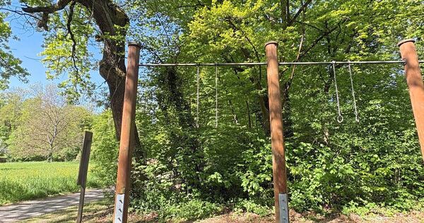 Klimmzüge im Wald bei Besigheim.
