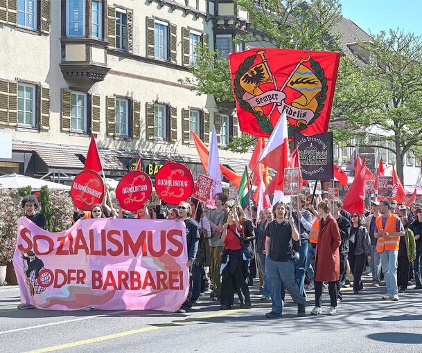 Der Demozug durch die Innenstadt verläuft friedlich.