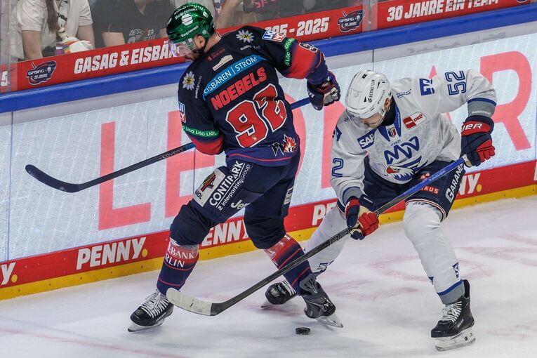 Eisbären Berlin - Adler Mannheim