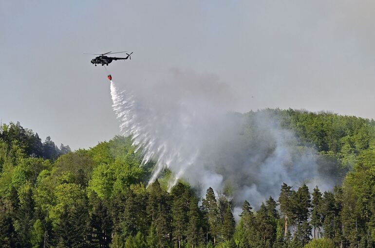 Waldbrand im Nationalpark Böhmische Schweiz