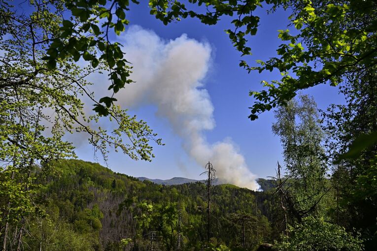 Waldbrand im Nationalpark Böhmische Schweiz