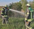 Die Feuerwehr Gerlingen konnte den Flächenbrand nahe des Sedammbrückles in Gerlingen schnell unter Kontrolle bringen.